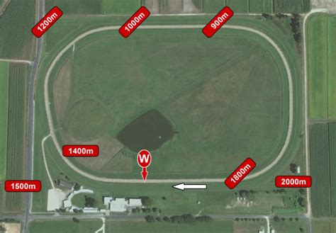 Murwillumbah Horse Racing Form Guide, Speed Maps & Odds .